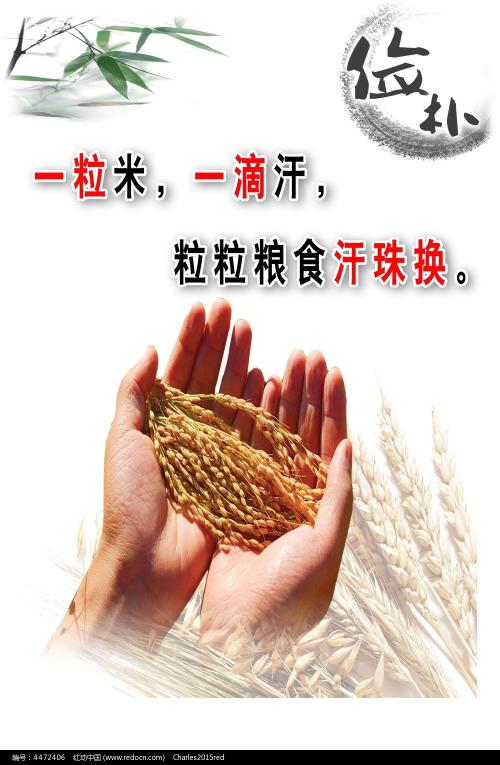 假的光大银行ATM机存款凭条